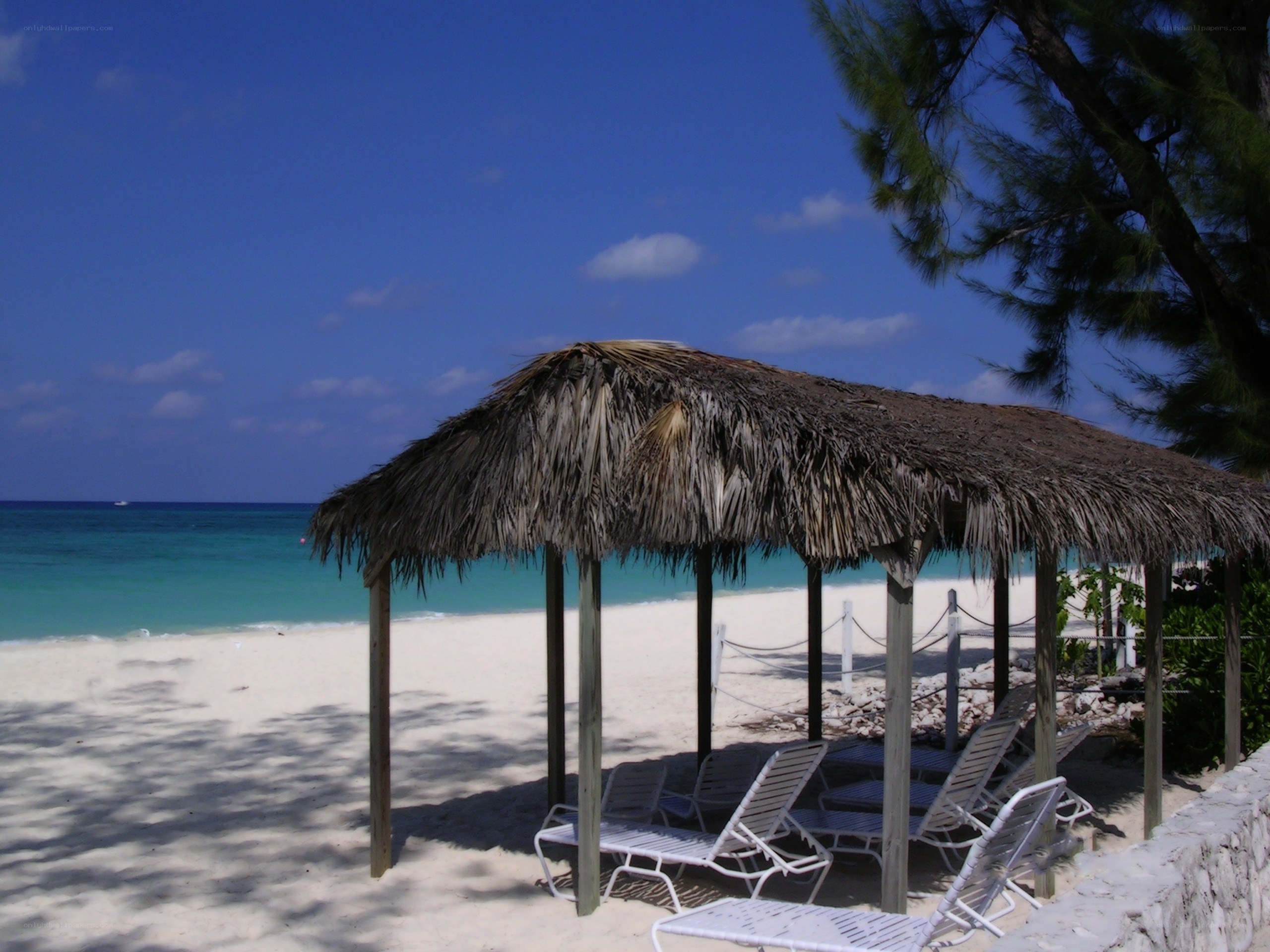 Beach hut with lounge chairs