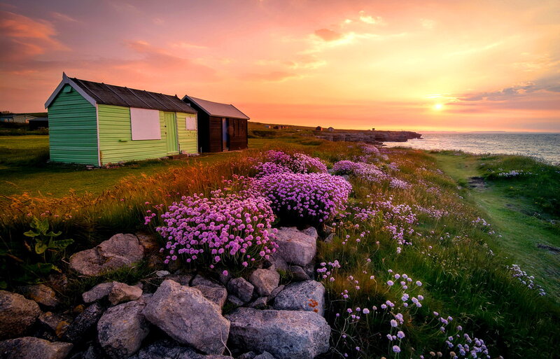 Beach Huts at Sunset — Pink