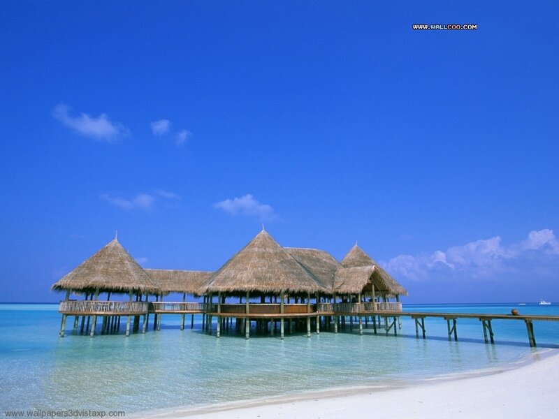 Beach huts on a tropical island