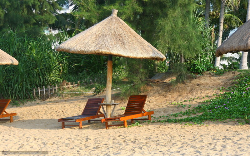 Beach Lounge Chairs — Brown, Serene