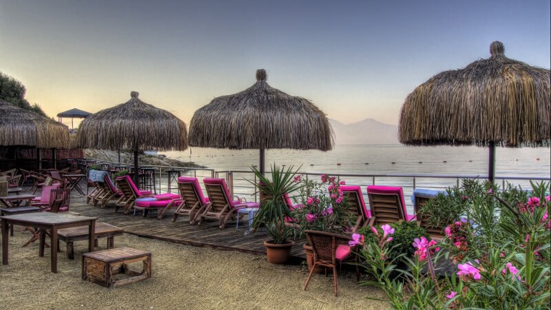 Beach Lounge Chairs — Brown