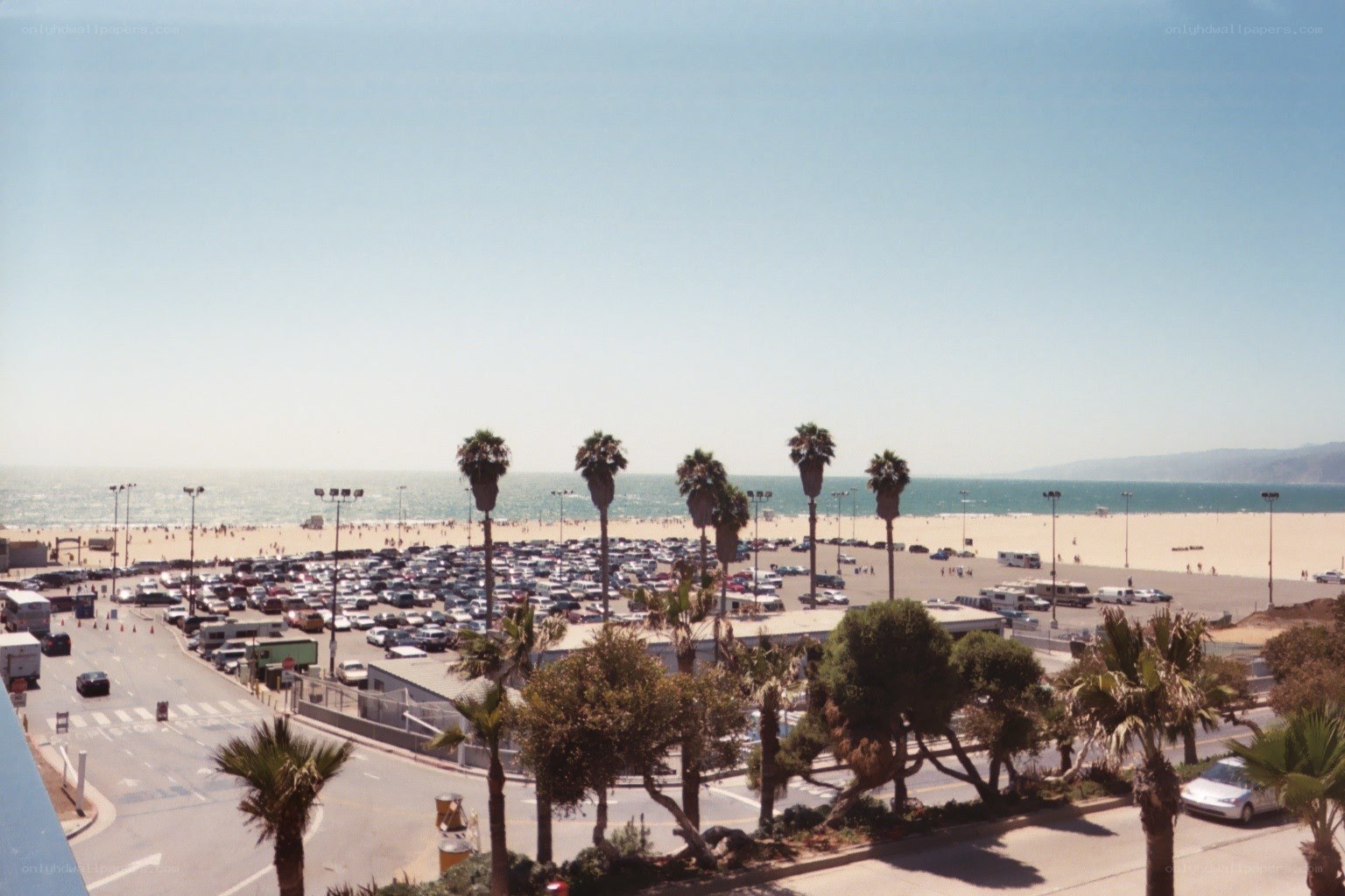 beach parking lot with palm trees