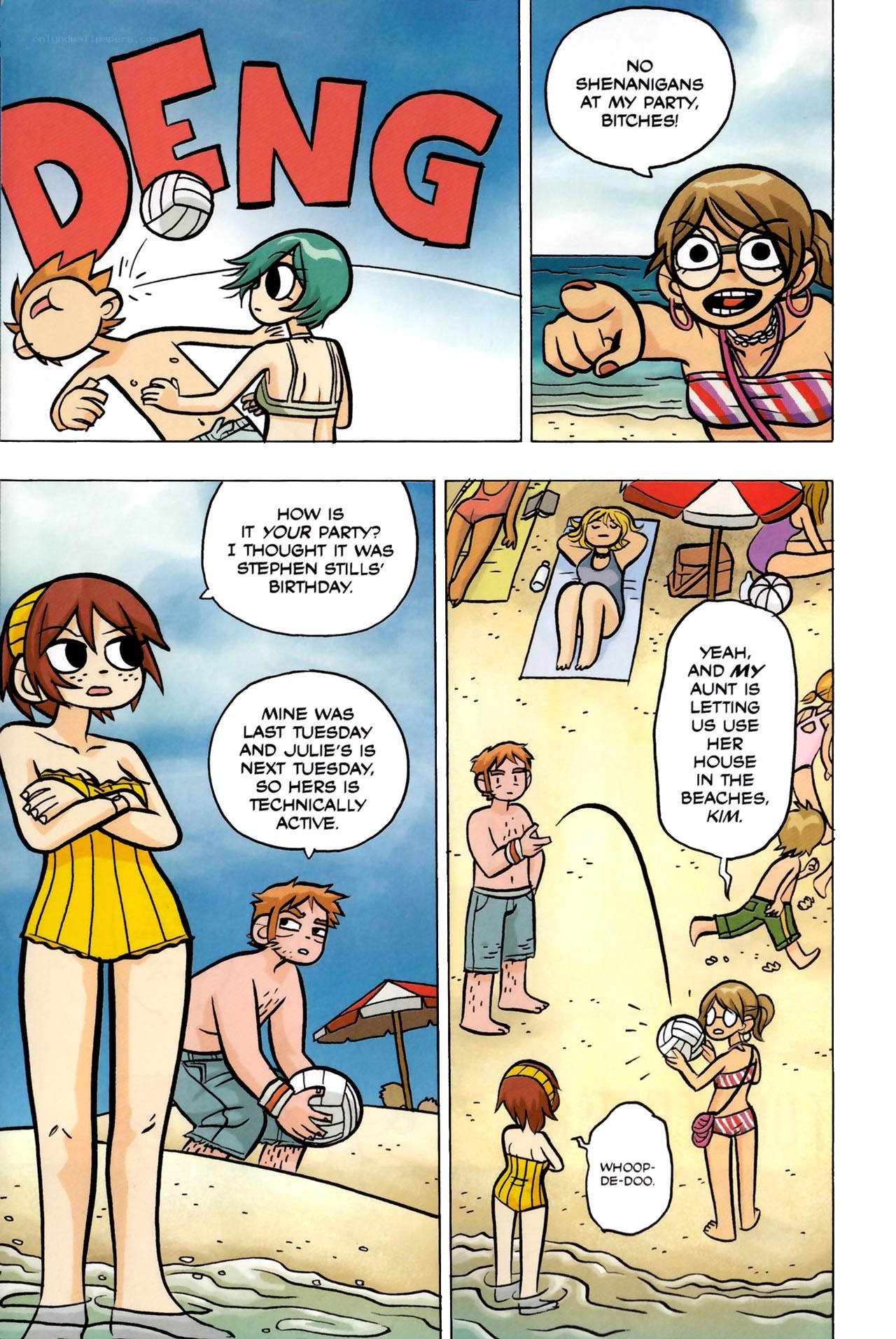 Beach Party Comic