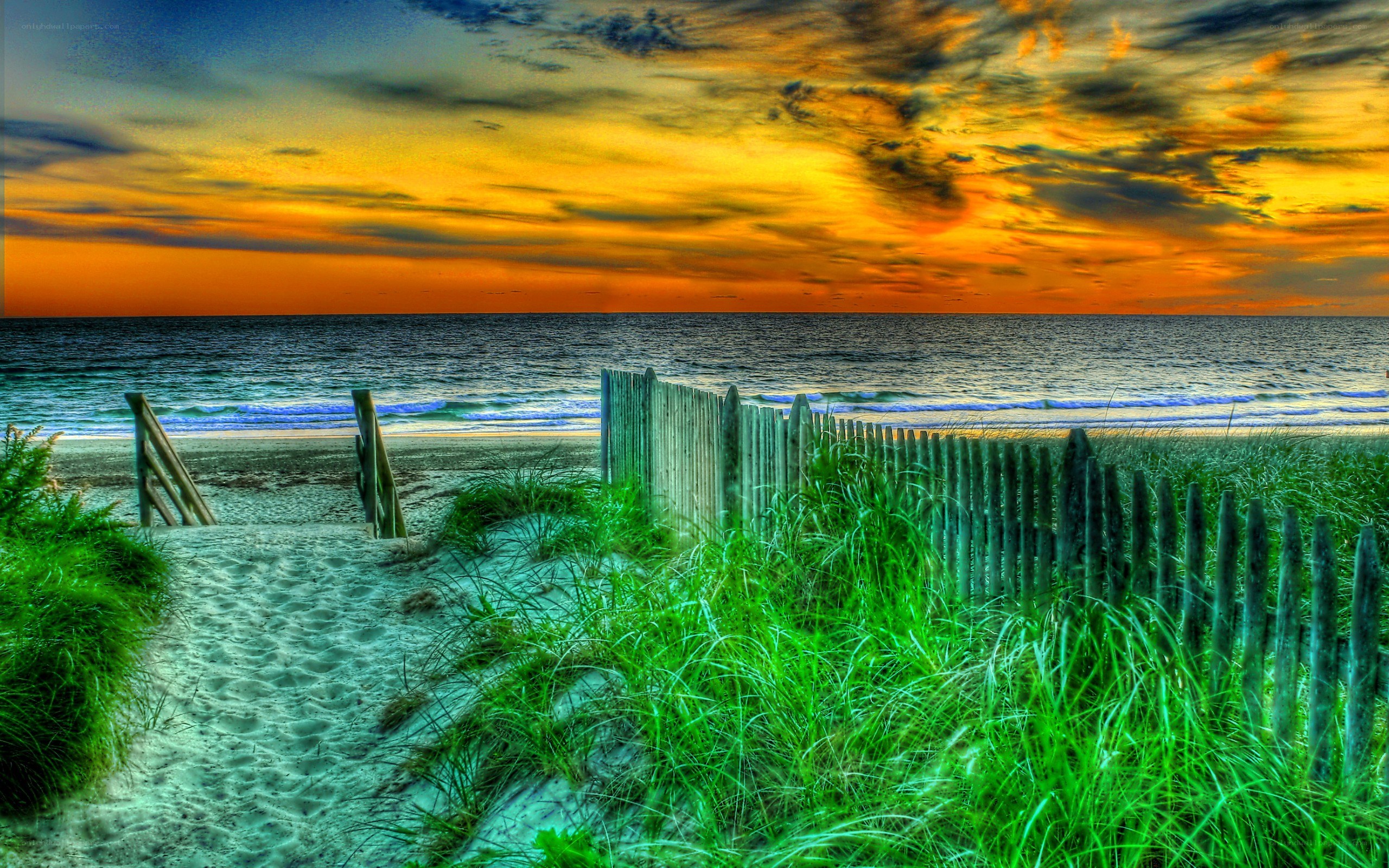 Beach path at sunset