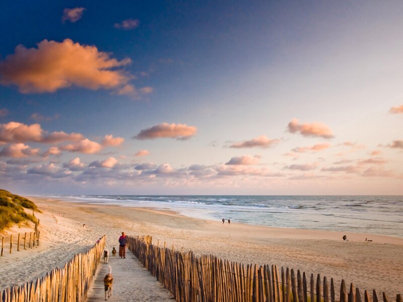 Beach path at sunset with people and dogs