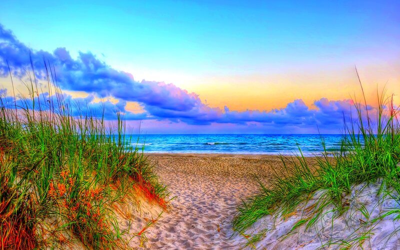 Beach Path Between Dunes — Blue, Serene