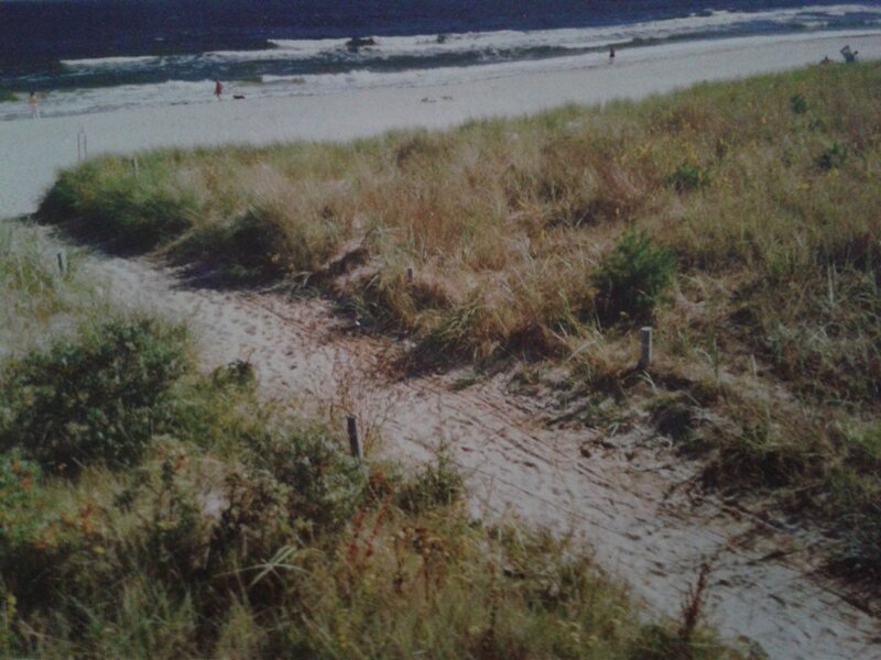 Beach Path Through Dunes — Green