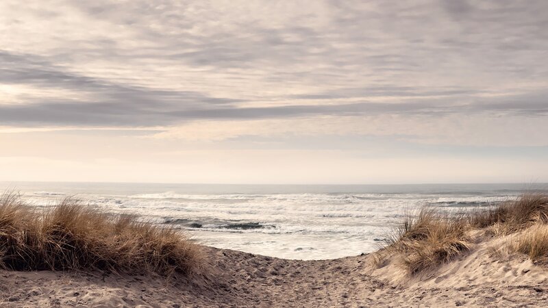 Beach Path to Ocean — Brown