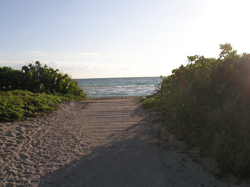 Beach Path to Ocean — Green