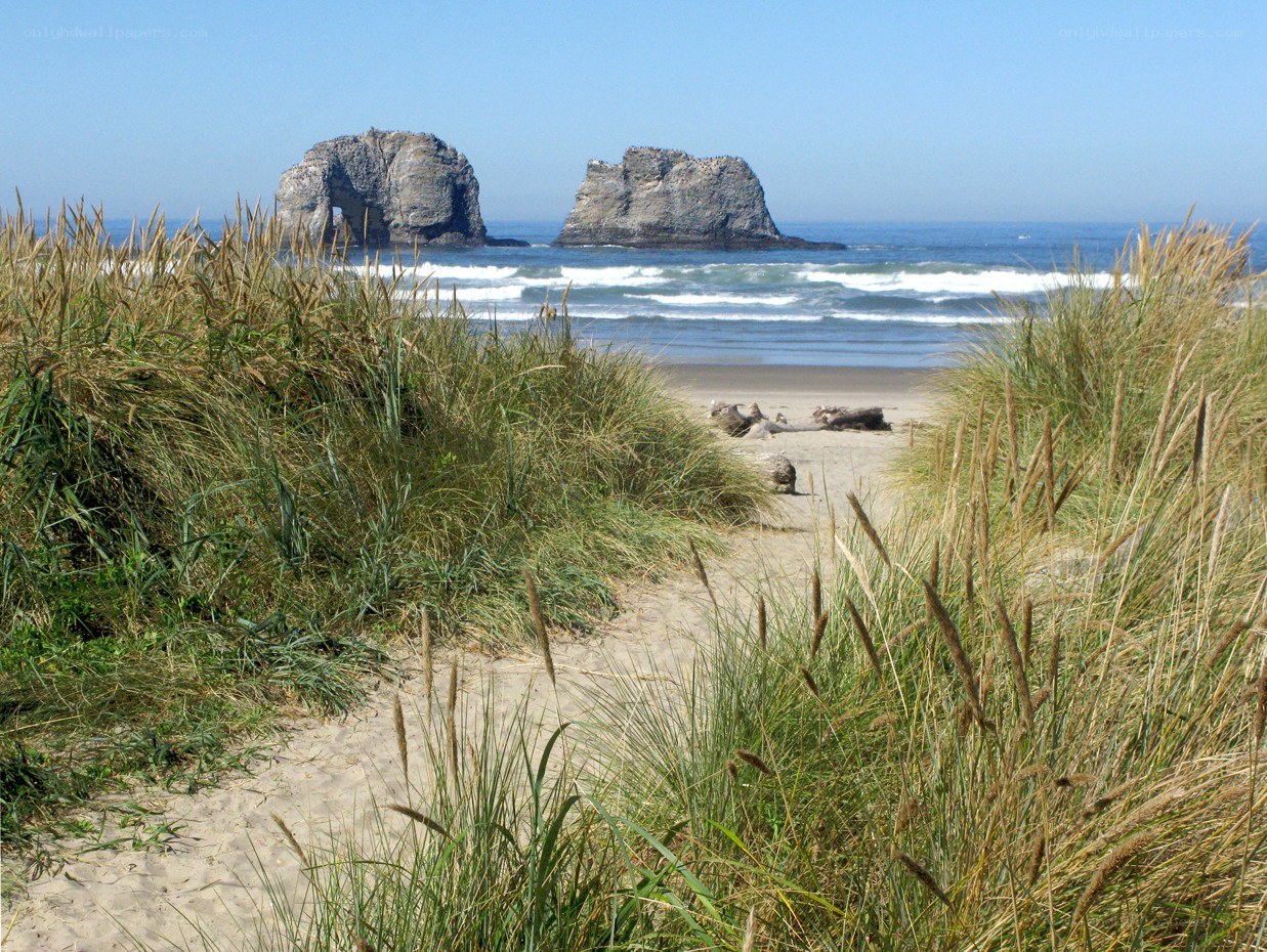 beach path to ocean rocks