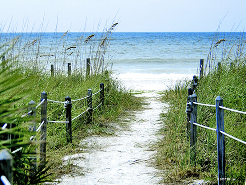 Beach Path to Ocean