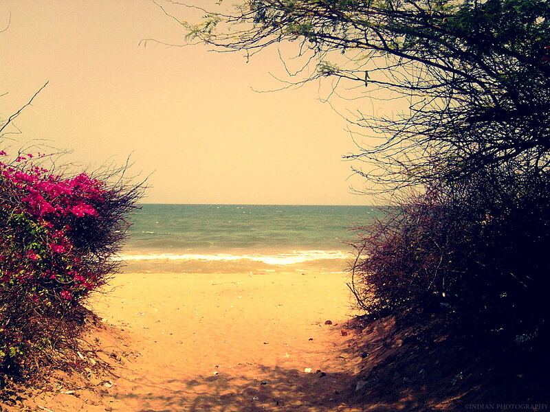 Beach Path to Ocean — Yellow