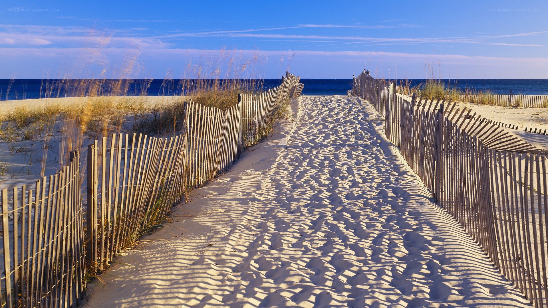 Beach path to the ocean