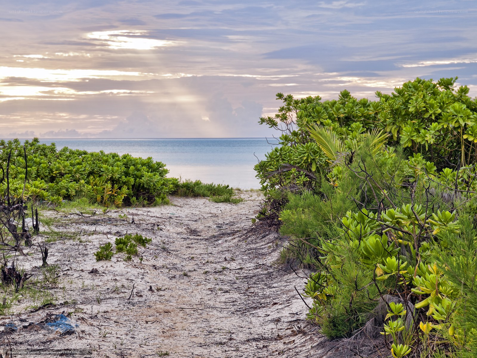 Beach path to the ocean