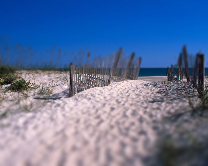 Beach path with dune fence