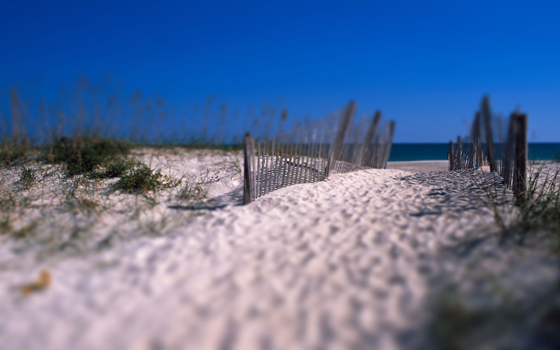 Beach path with dune fence