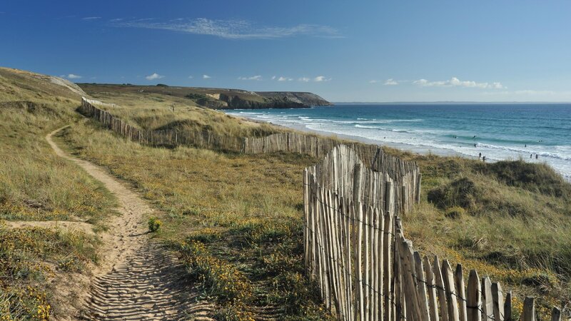 Beach Path with Dunes — Blue