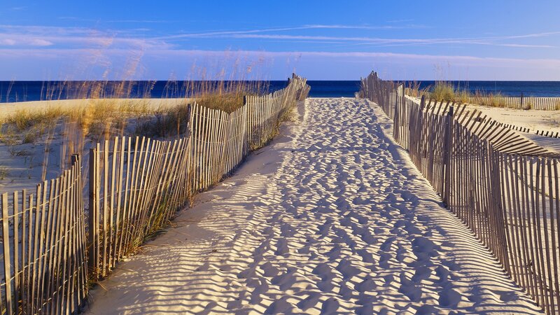 Beach Path with Fences