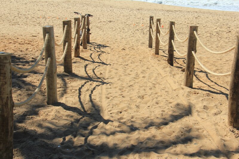 Beach Path with Rope Barriers