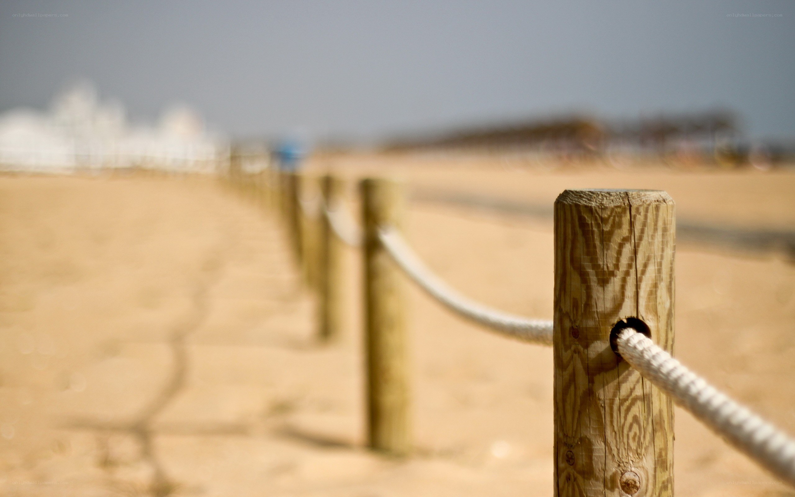 beach path with rope fence