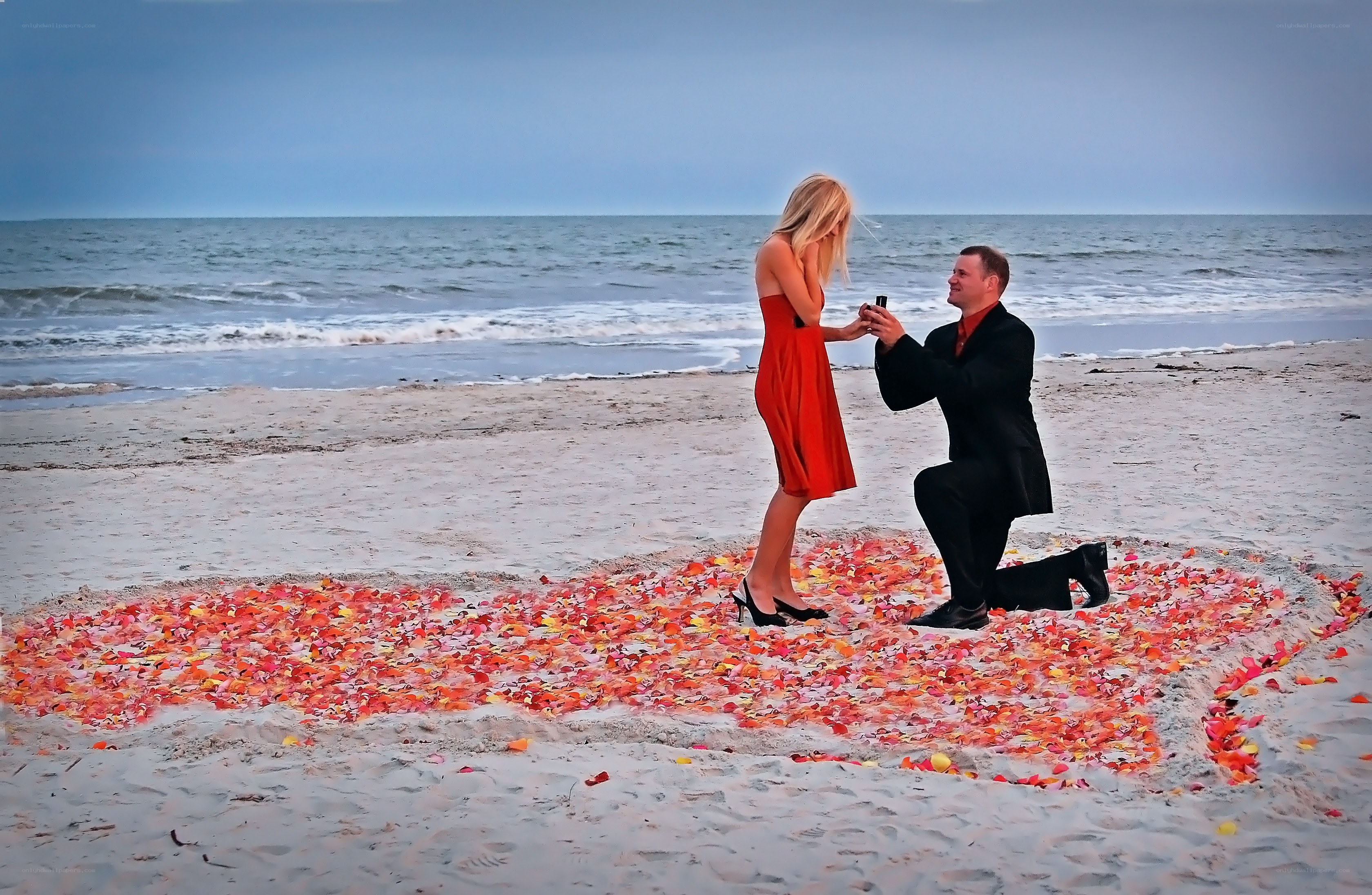 Beach proposal with rose petals