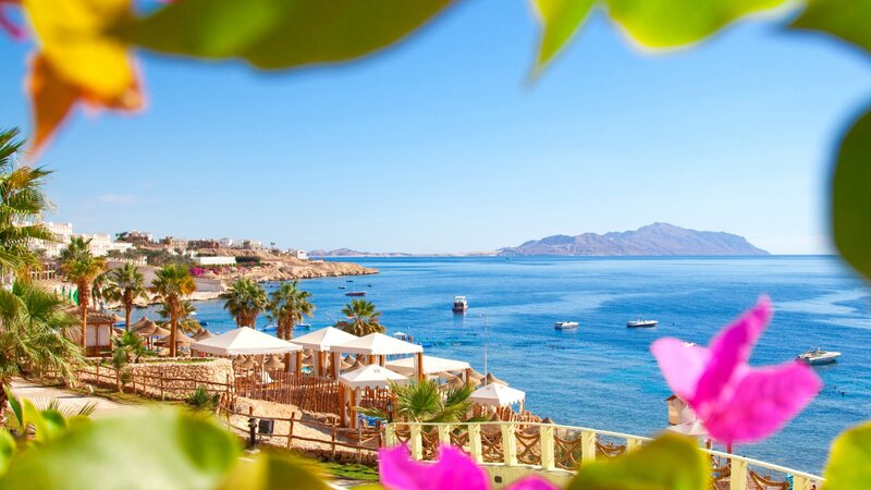 Beach Resort with Boats
