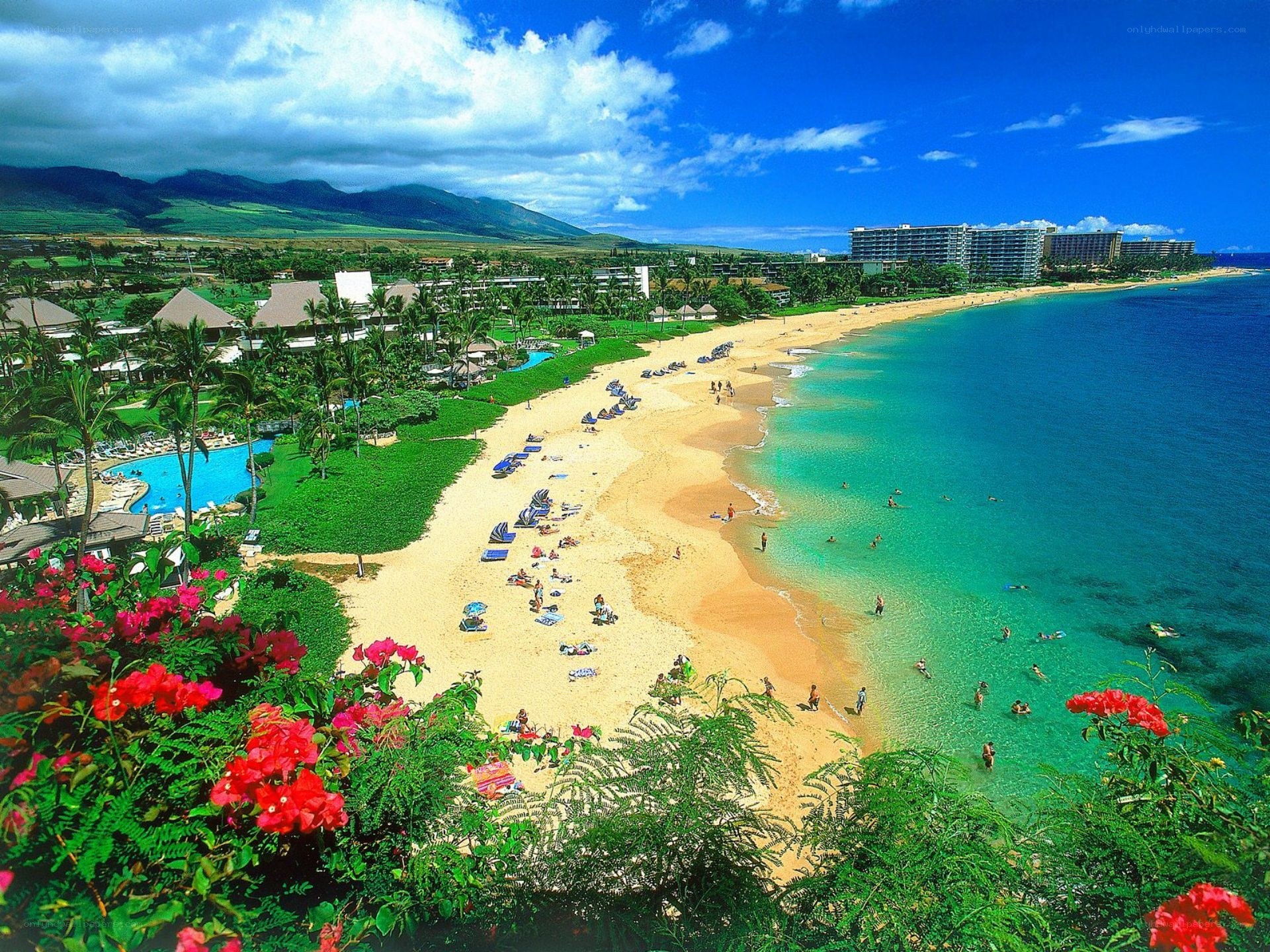 Beach resort with mountains