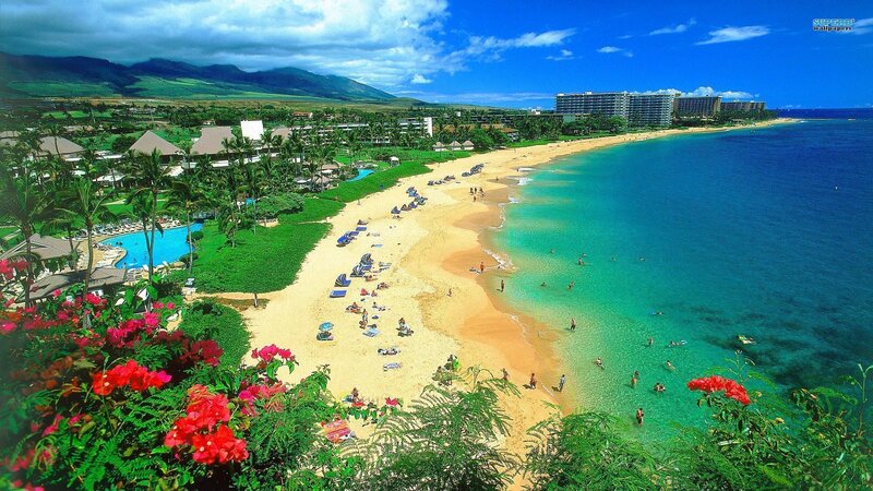 Beach Resort with Mountains — Blue, Serene