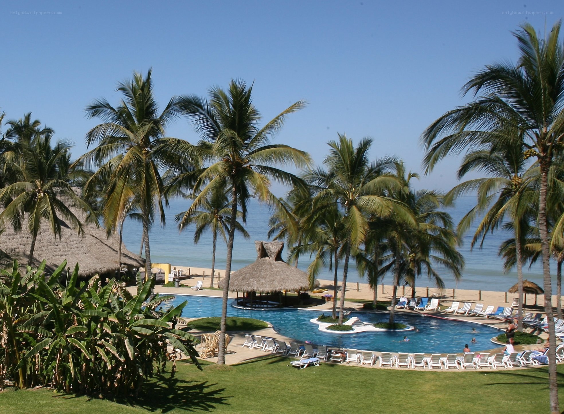 Beach resort with palm trees