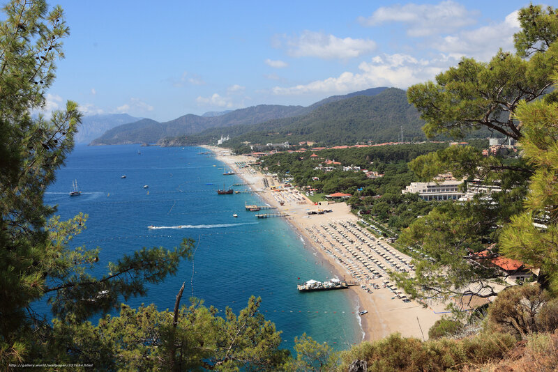 Beach resort with pine trees