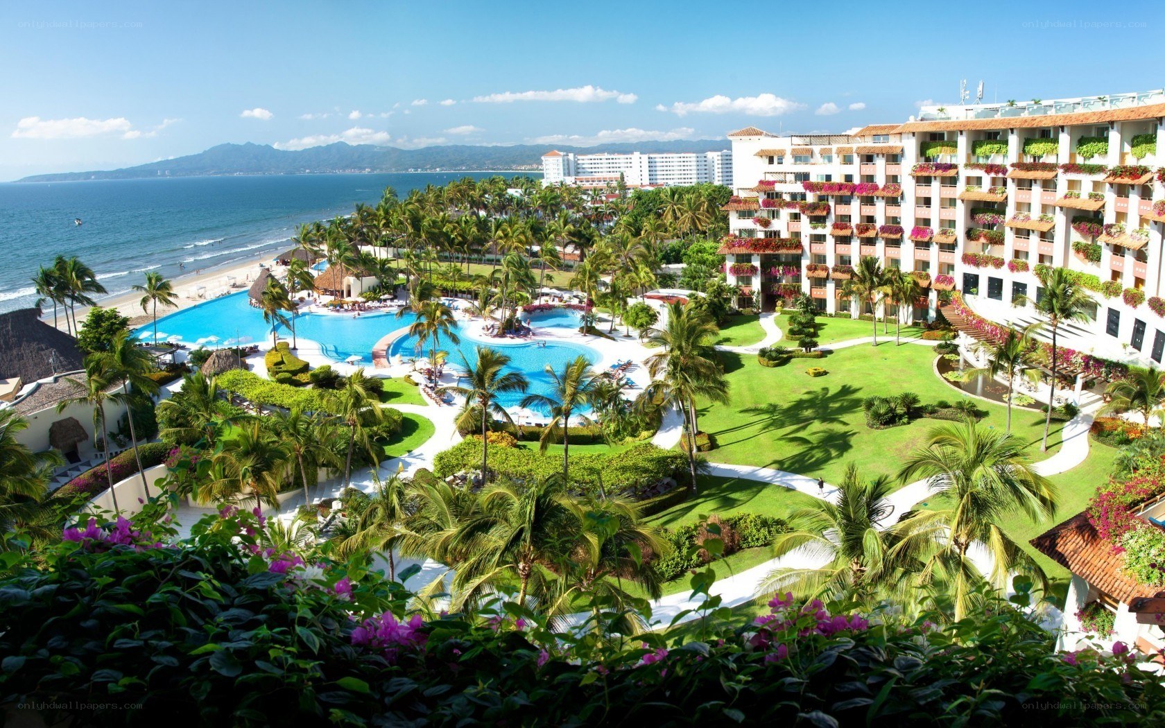 Beach resort with pools and palm trees