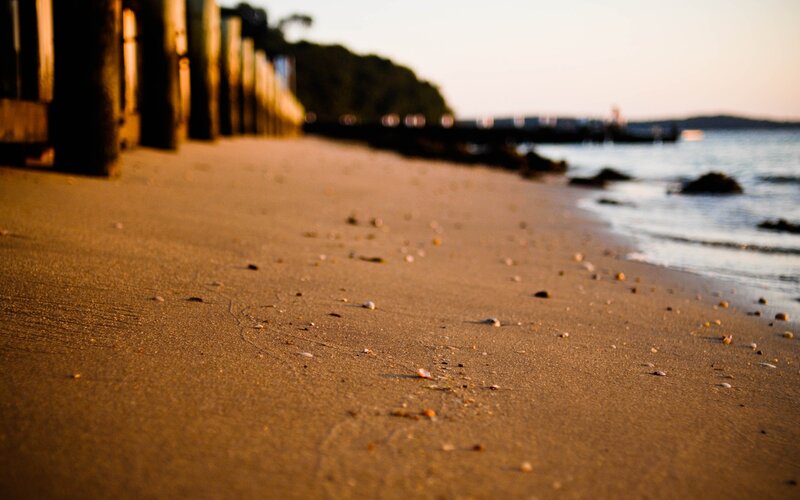 Beach Sand with Shells — Brown