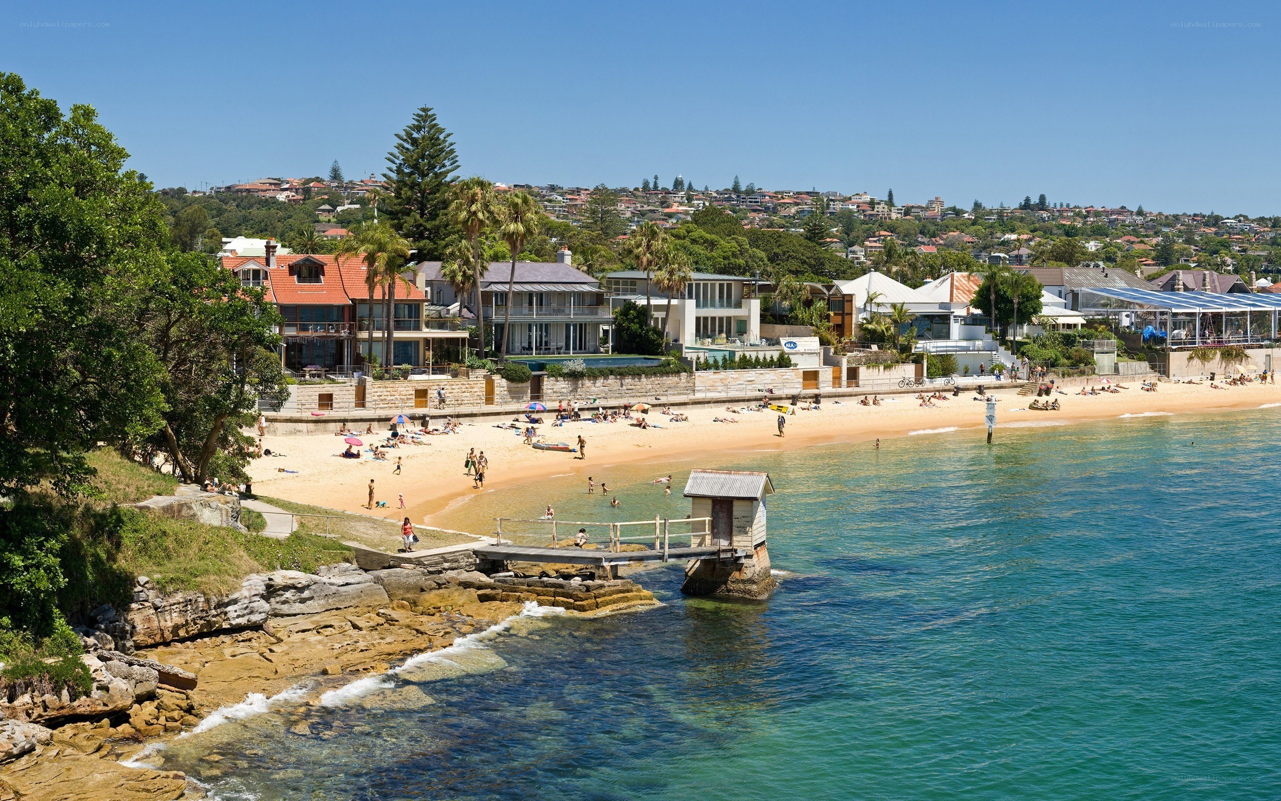 Beach scene in Sydney suburb