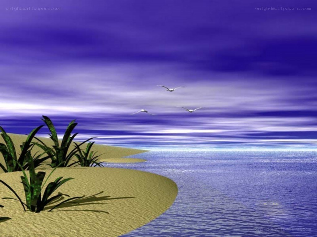 Beach scene with birds flying