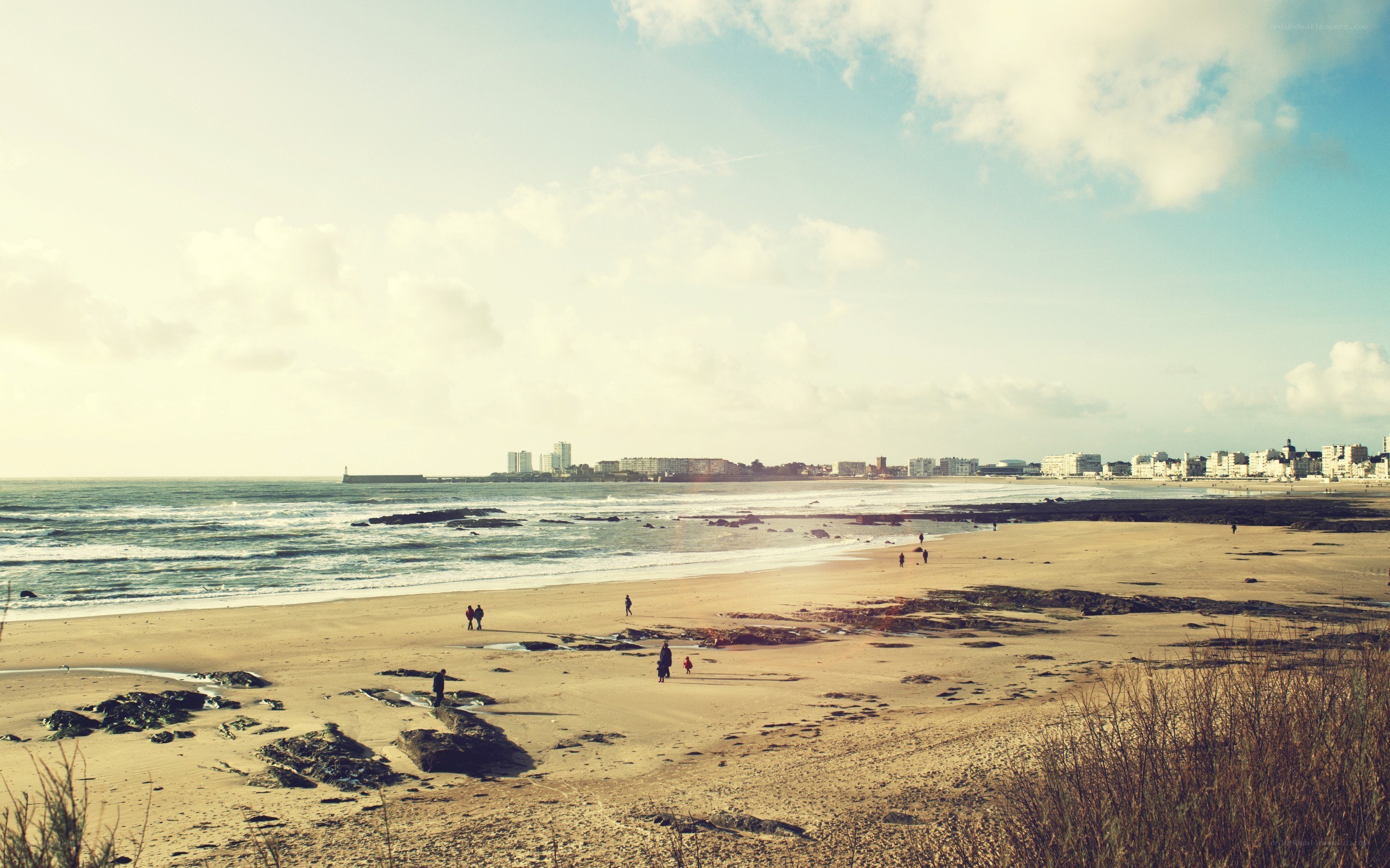 beach scene with city skyline