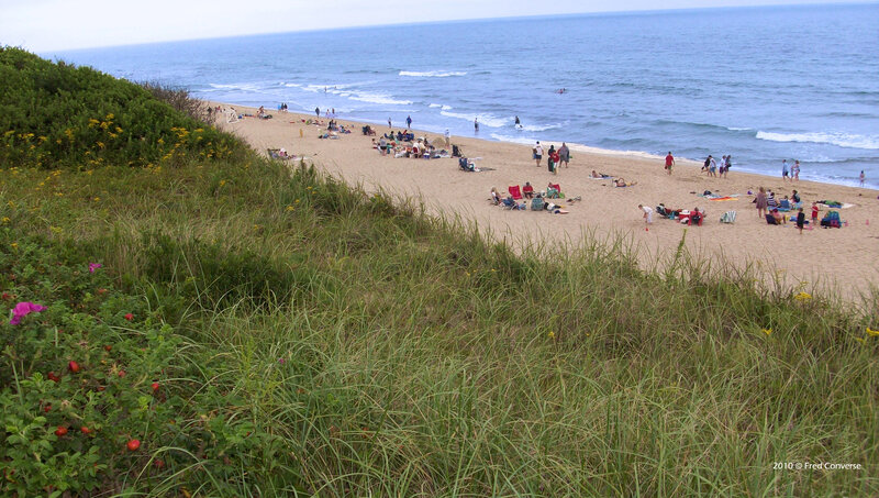Beach scene with dunes and ocean