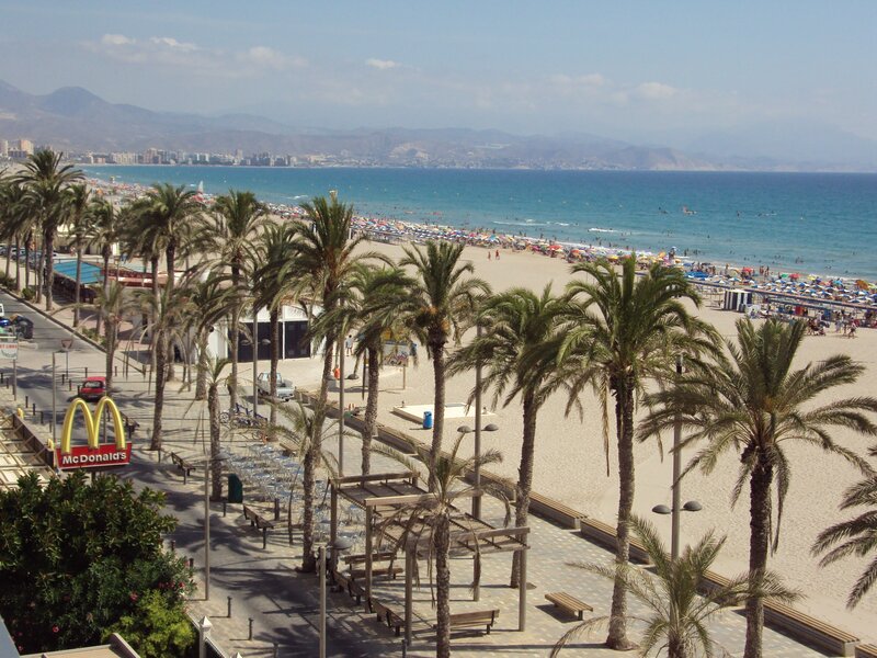 Beach scene with palm trees