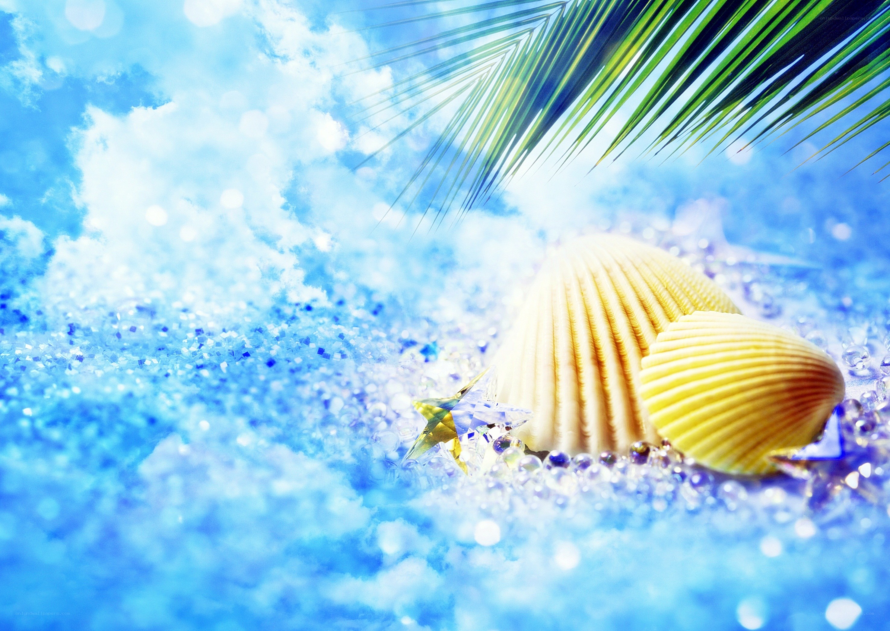 Beach scene with seashells