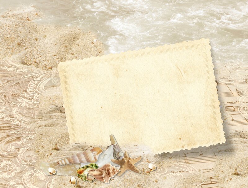 beach scene with seashells