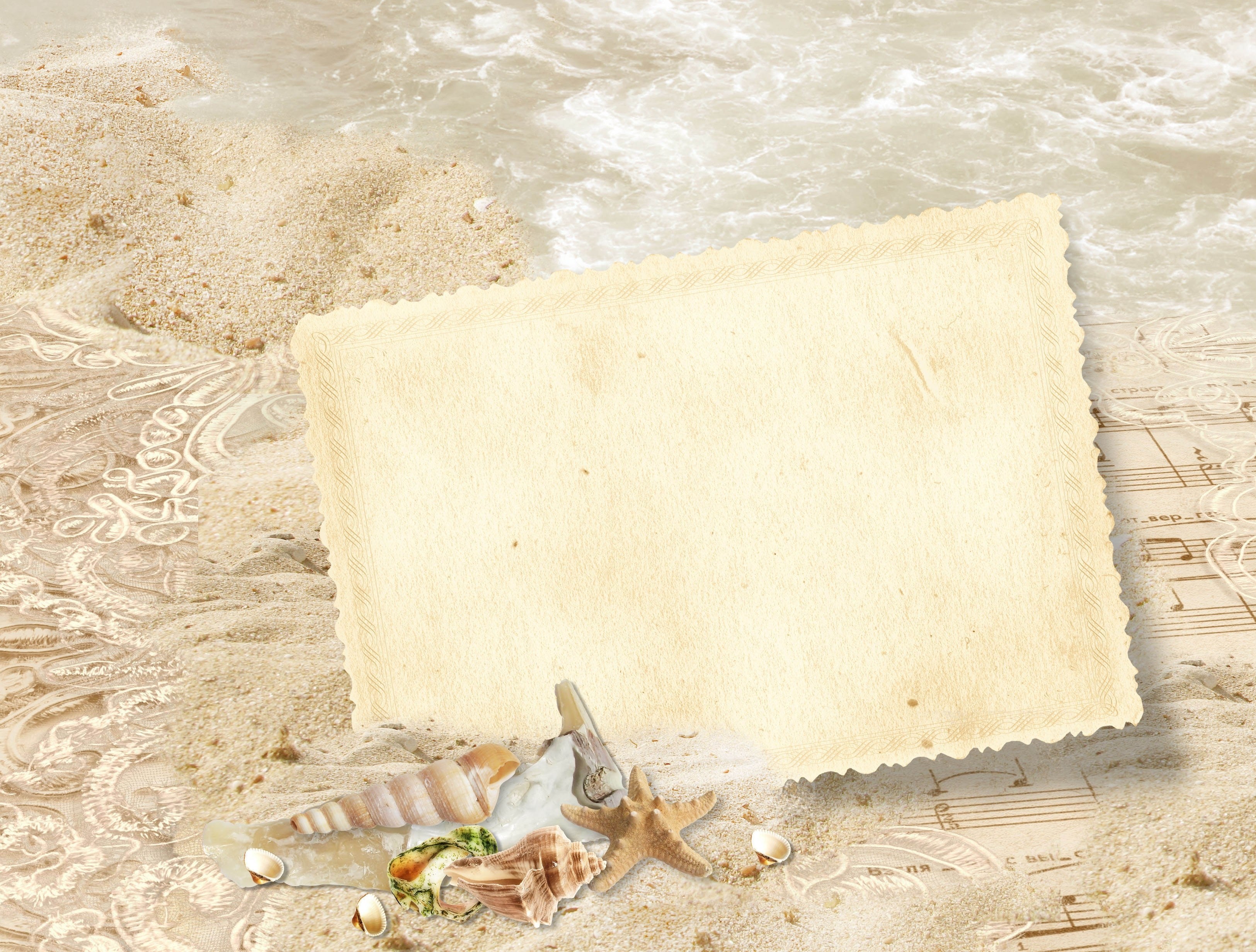 beach scene with seashells