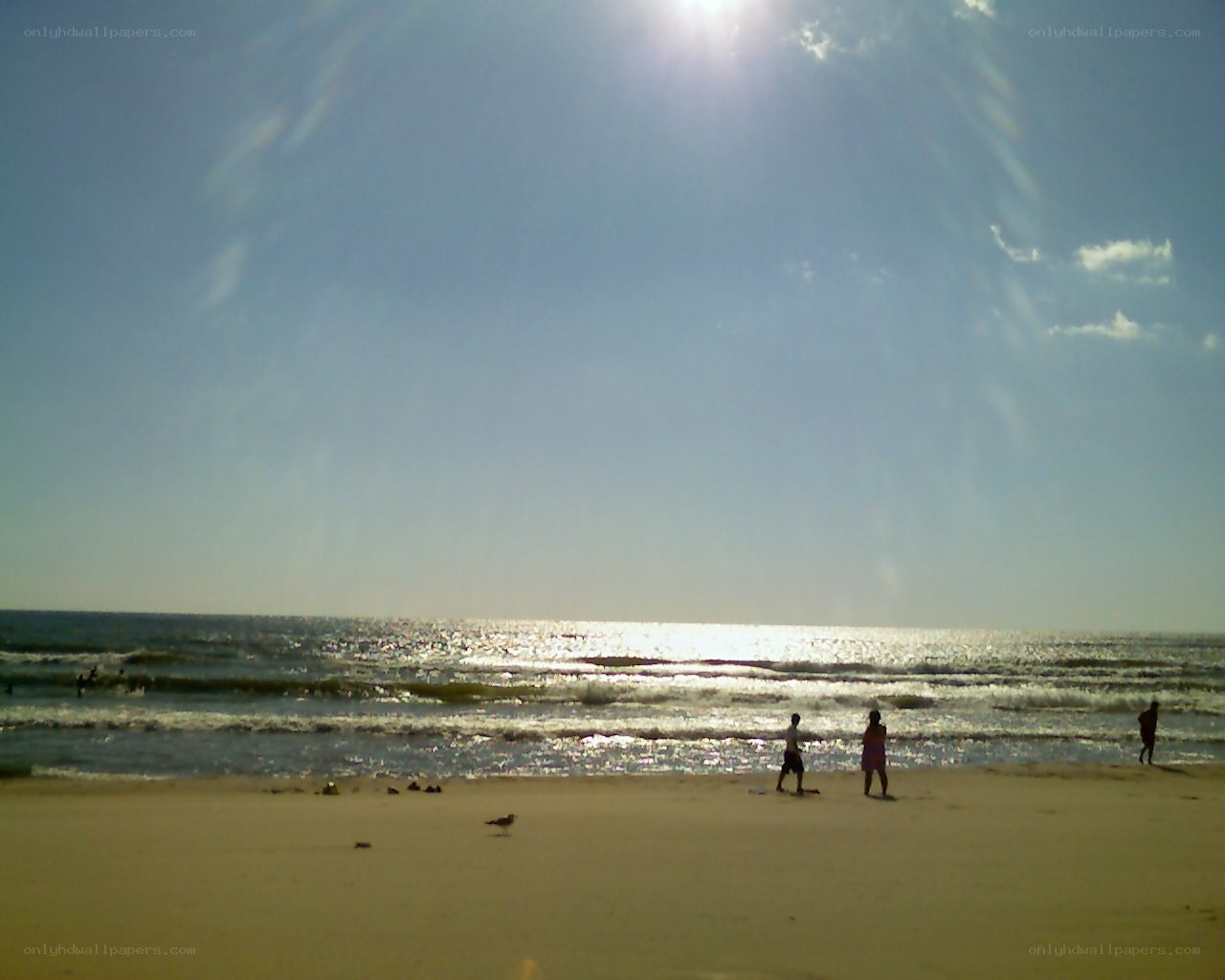Beach scene with sun glare