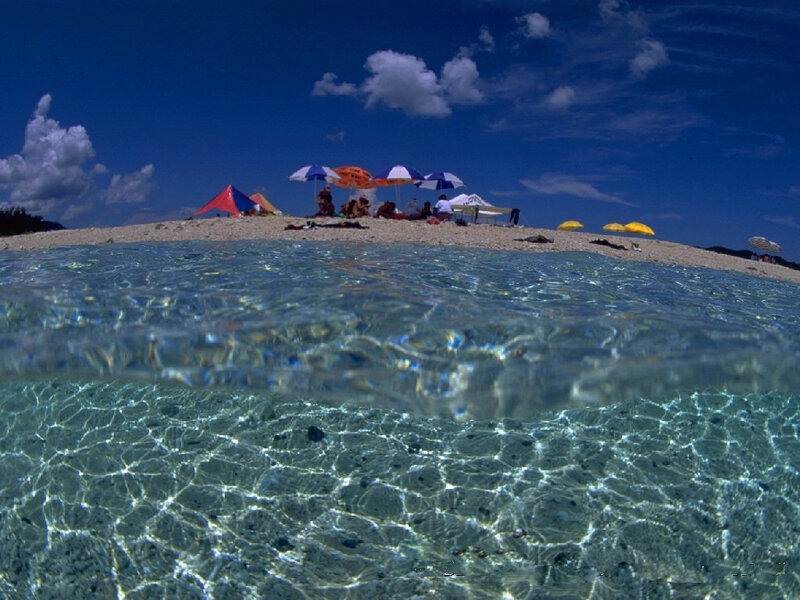 Beach scene with underwater view