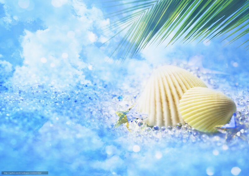 Beach shell with palm leaf
