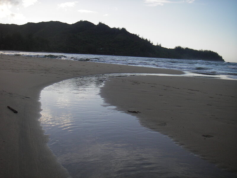 beach stream at sunset