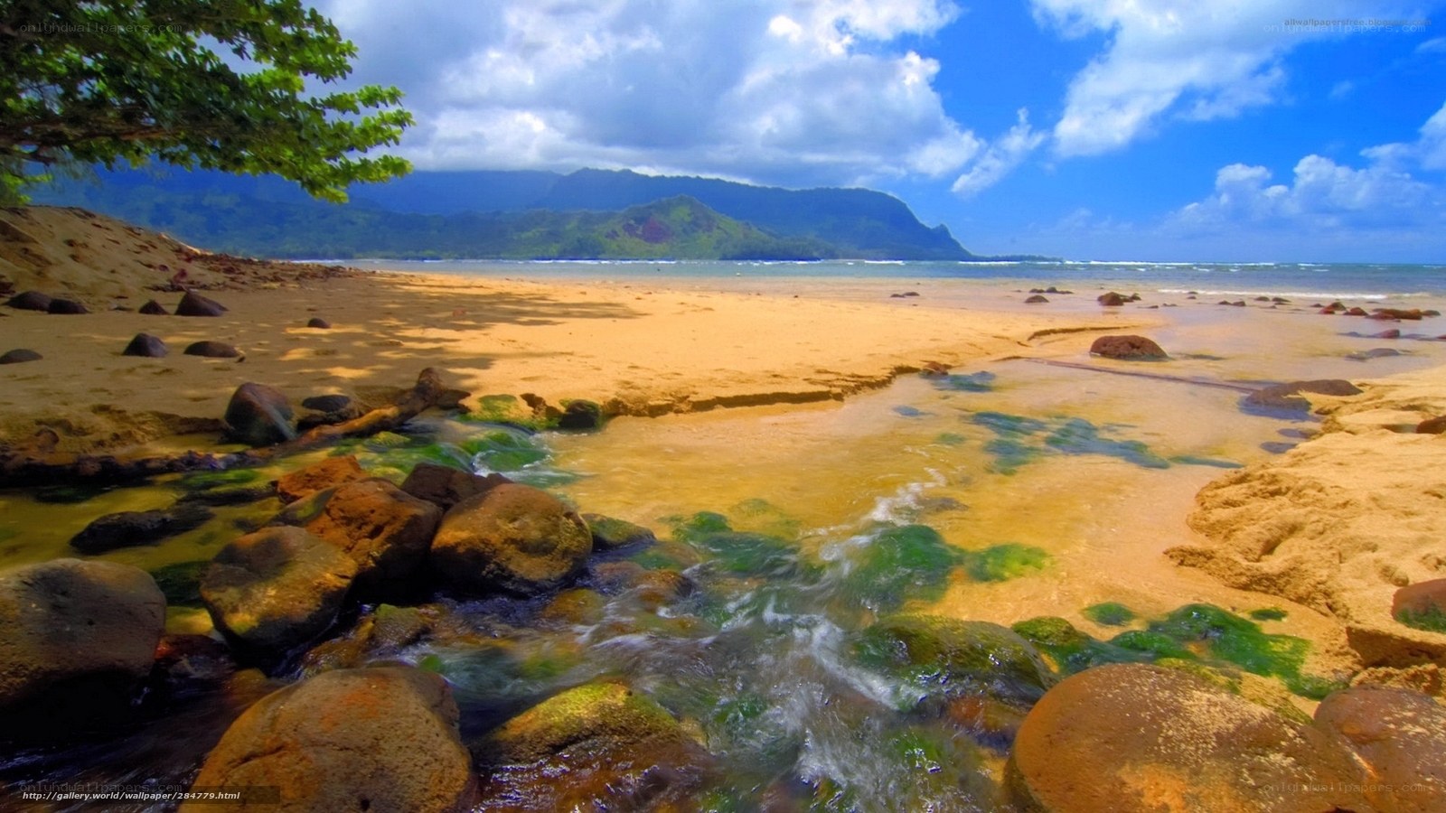 beach stream with mountains