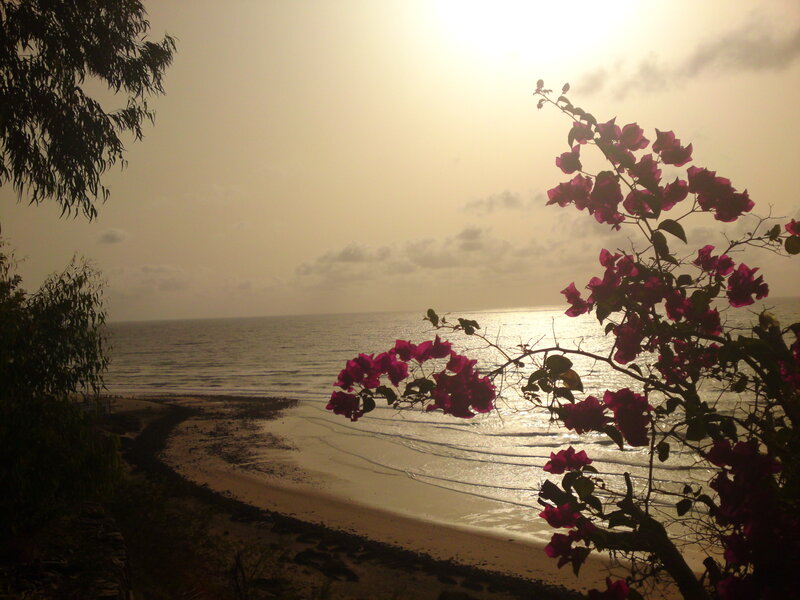 beach sunset with bougainvillea