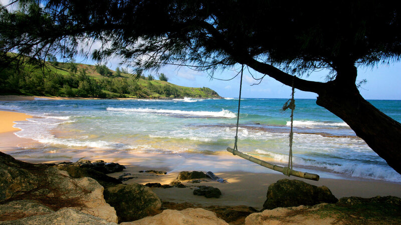 Beach swing under tree