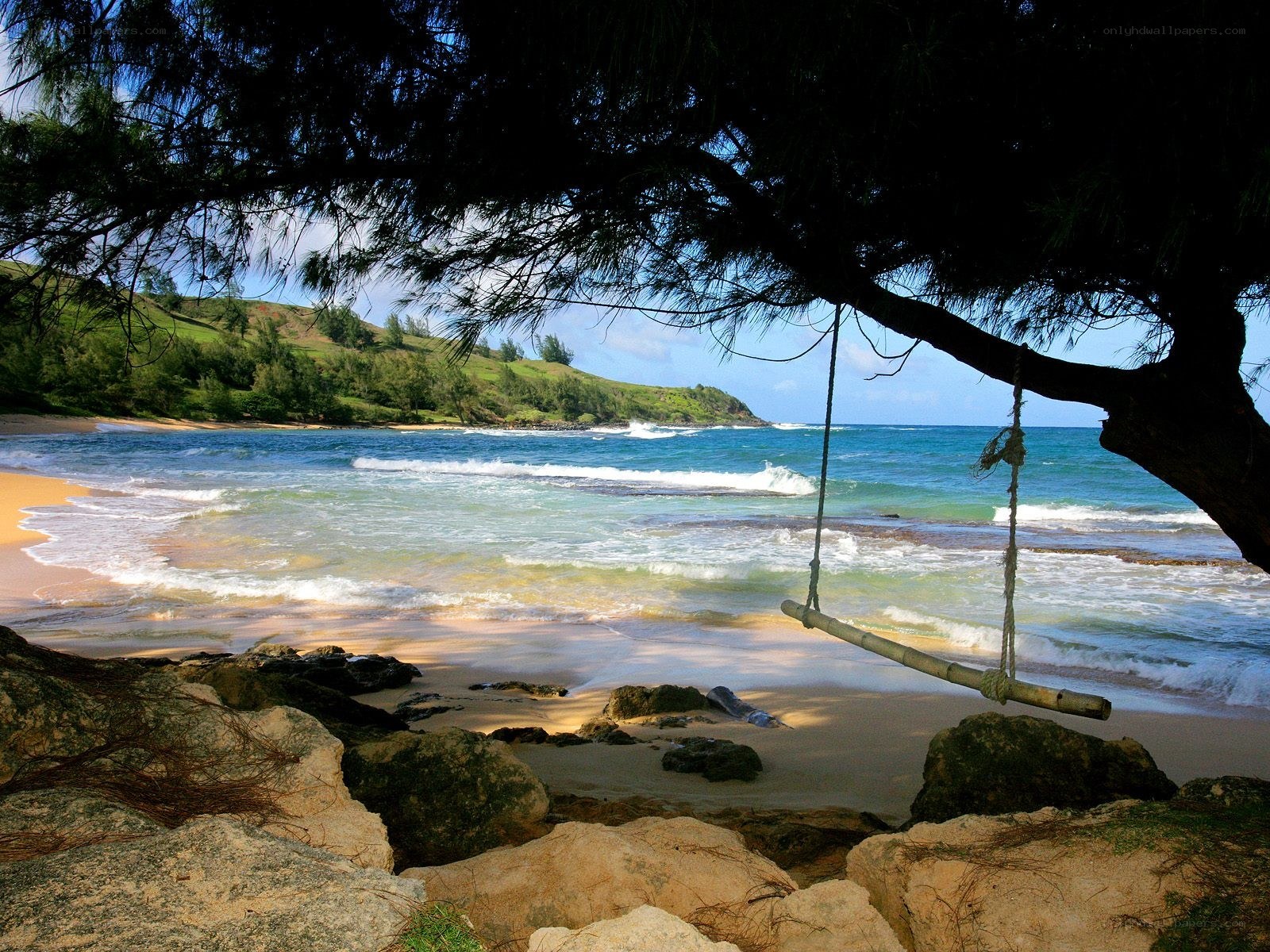 Beach swing under tree