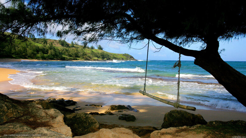 Beach swing under tree