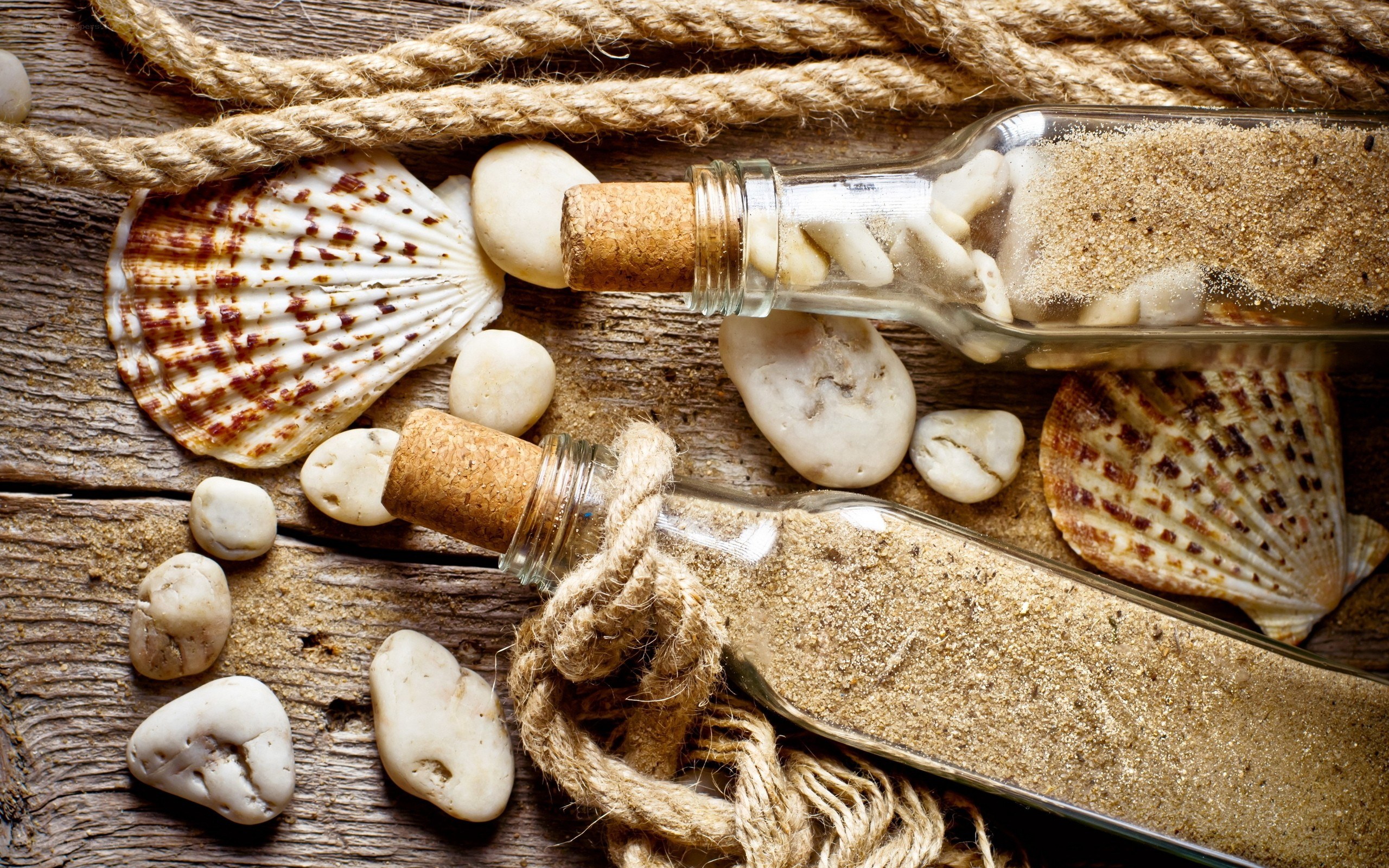 beach-themed still life